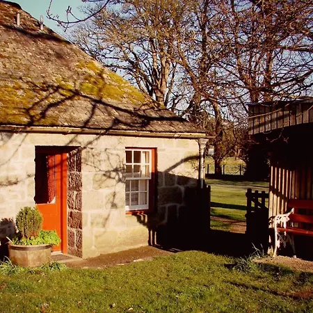 The Dell Of Abernethy - A Woodland Hideaway Apartment Nethy Bridge Exterior photo