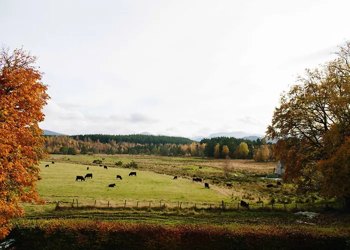 The Dell Of Abernethy - A Woodland Hideaway