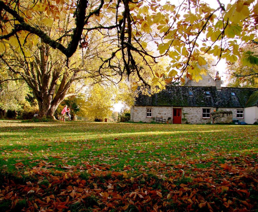 The Dell Of Abernethy - A Woodland Hideaway